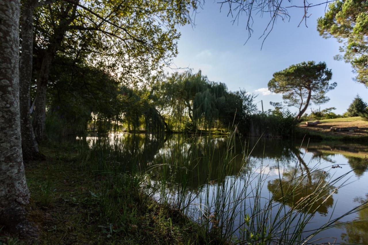 La Marviniere Bed and Breakfast Saint-Bonnet-sur-Gironde Exterior foto