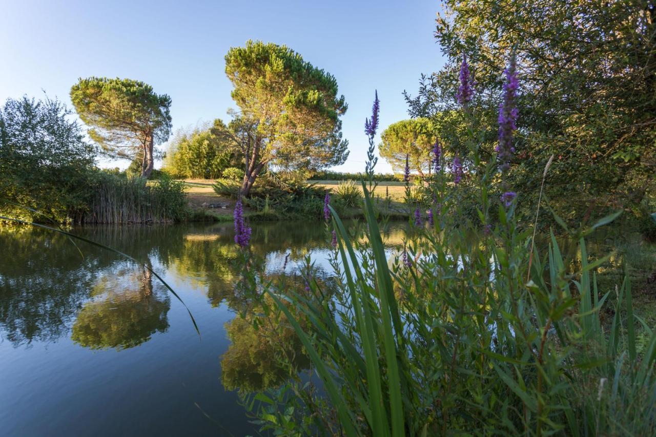 La Marviniere Bed and Breakfast Saint-Bonnet-sur-Gironde Exterior foto