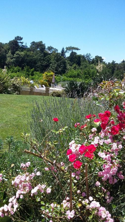 La Marviniere Bed and Breakfast Saint-Bonnet-sur-Gironde Exterior foto